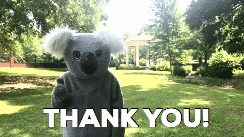 person dressed as a koala saying thanks